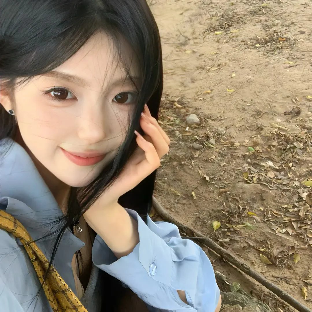 笨人寻春海报